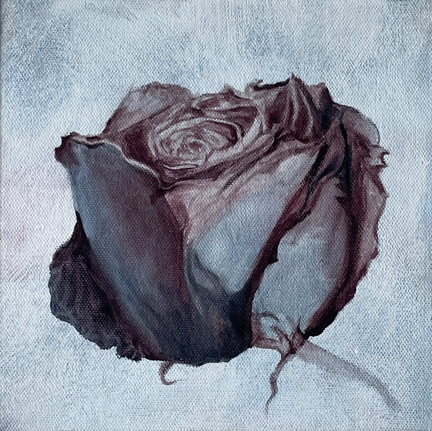 "Rose" 8 x 8 inch painting